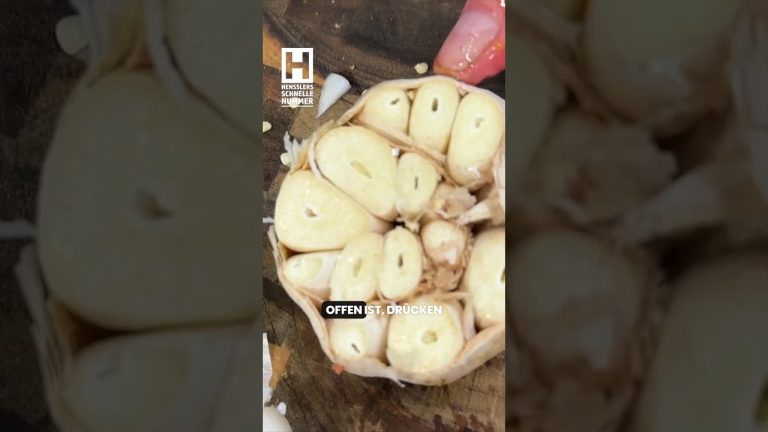 Spaghetti mit Spezialsauce 🍝