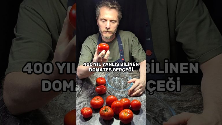 DOMATESİN SOFRAMIZA UZANAN YOLCULUĞU🍅🍅 #shorts #domates