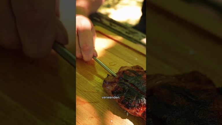 Profi-Griller benutzen kein Thermometer 😱🌡️ #grill #bbq #grillzeit #thermometer #fyp