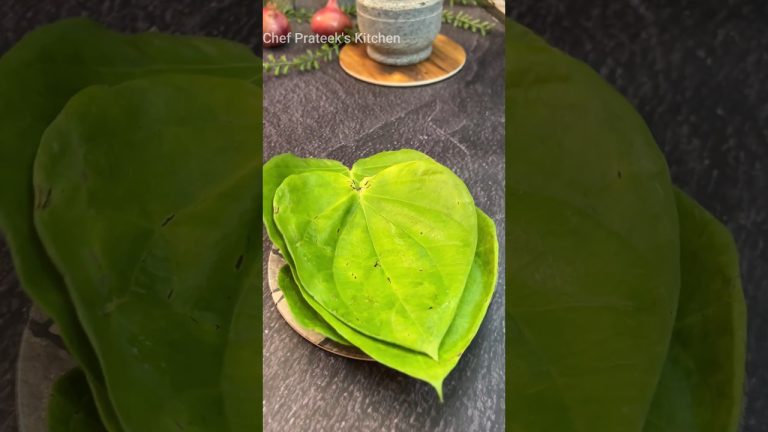 Paan Milk Shake 🤩🤩 #shorts #milkshake #milkshakerecipe #summerdrink #milkshakesrecipe #drink #food