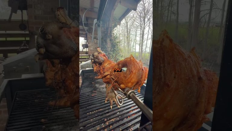 LONE STAR GRILLZ | Why we use them #gator #grilling #cooking