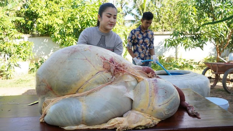 '' Big beef stomach '' Have you ever cooked beef stomach like this before? – Cooking with Sreypov