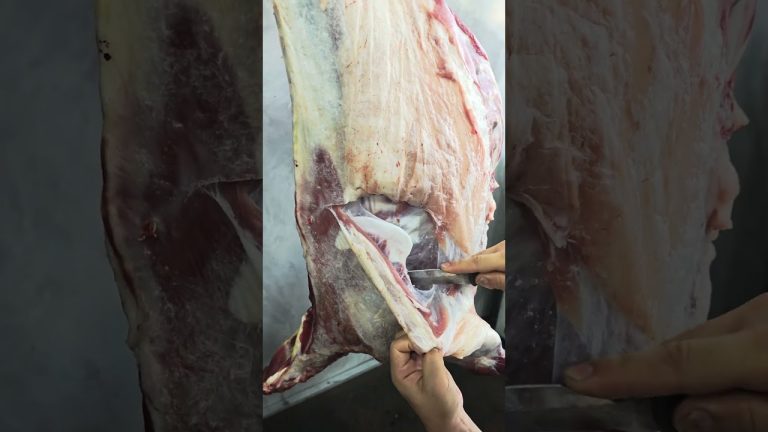 Separating Lamb Arm from Ribs 🔪🥩 #Shorts