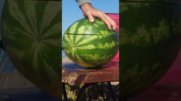 Watermelon BBQ #outdoorcooking