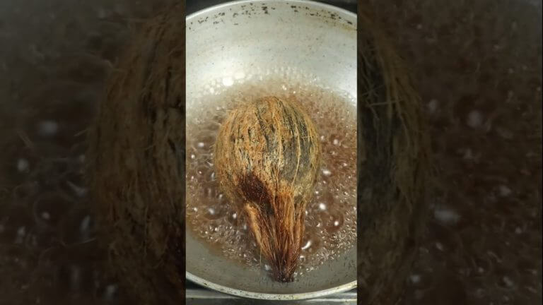 😱Viral Coconut Sweet Festival Special 🥥 | Quick Moongdal Saggubiyyam Dessert Recipe 😱