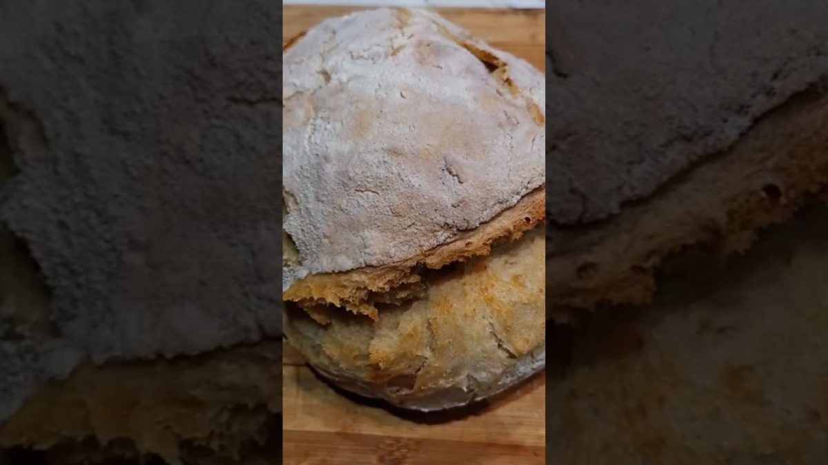 NO KNEAD BASIC BREAD #shortvideo #food #shortsfeed #short #tasty #recipe #bread #baking