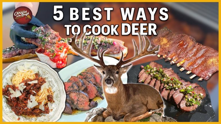 The 5 Best Ways to Cook Deer | Rough Cooking Recipe (HOW TO Compilation)