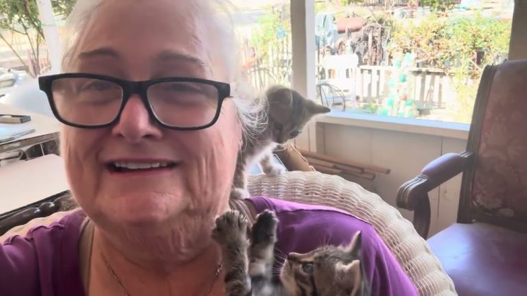 Deep Cleaning Continues and a BBQ