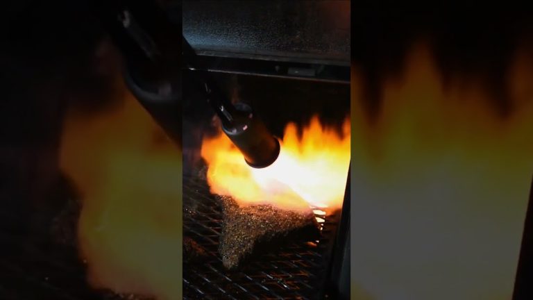 Best Tri Tip Sandwich Ever! #bbq #tritip #sandwich #meat #recipe #shorts