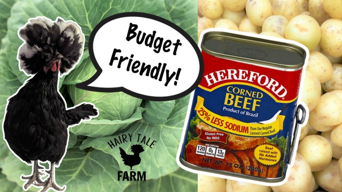 The Best Canned Corned Beef Recipes – Shelf Stable, Year Round Budget Friendly Meals