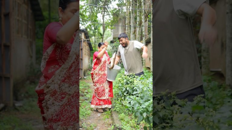 রসে রসা হান্ডি শোল | Handi Shol Fish Curry Recipe #shorts #fish #fishing #chaatrecipe