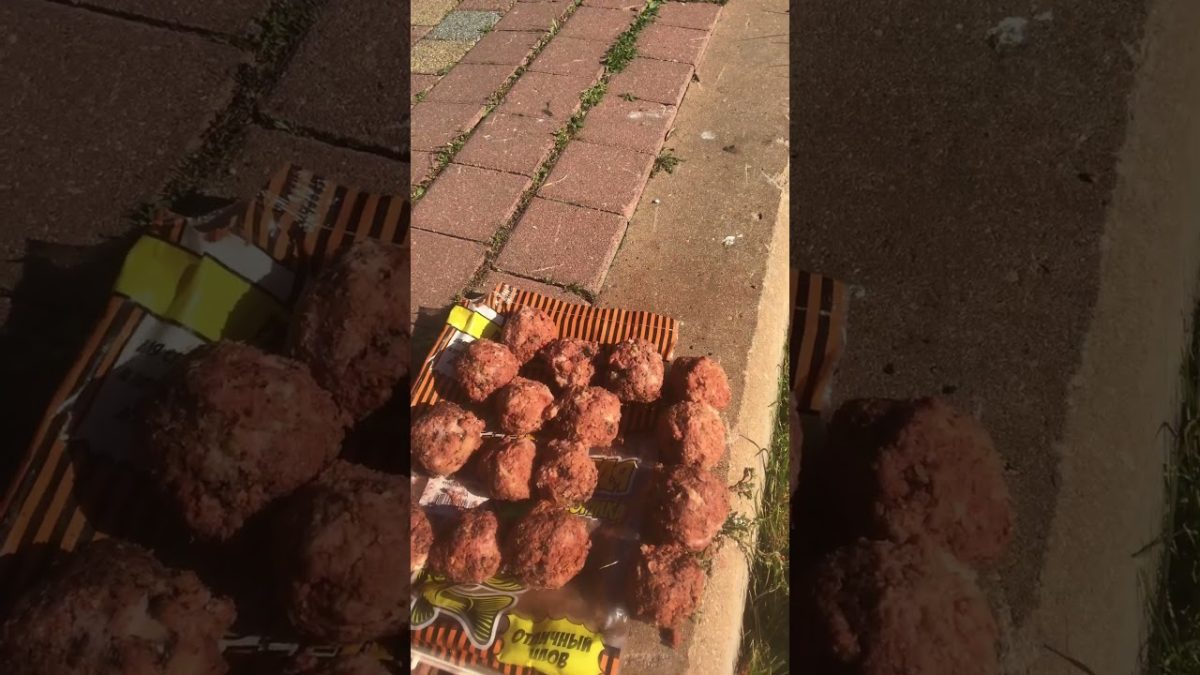 KILLER FISH 007 !!! TAGANKA 2023 !!! #food #summer #sun #nature #bbq