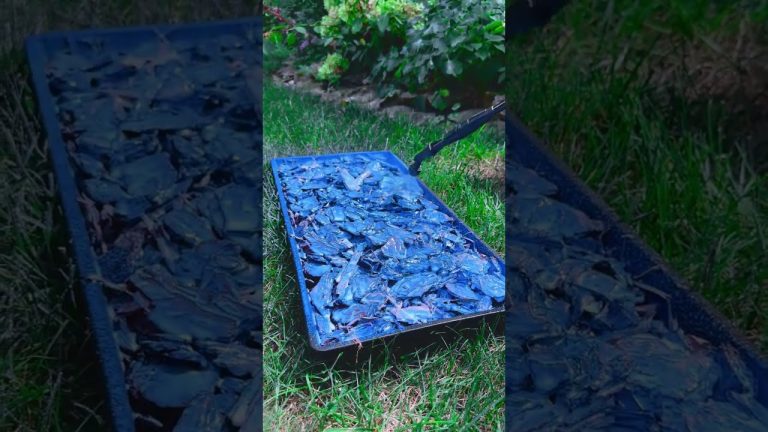 I Tried The Viral Mulch Glue and This Happened! 😲