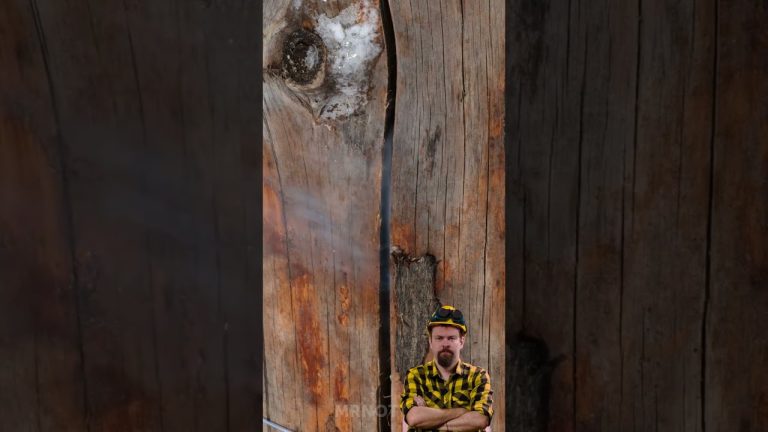 Winter ASMR: Cooking BBQ Inside a Log ❄️🔥 | Relaxing Sounds