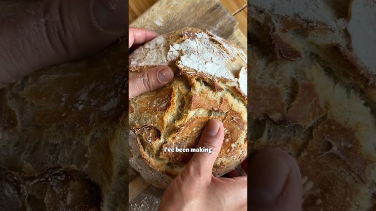 Easy No Knead Bread 🍞 | SO VEGAN #recipe #vegan #food #baking #bread