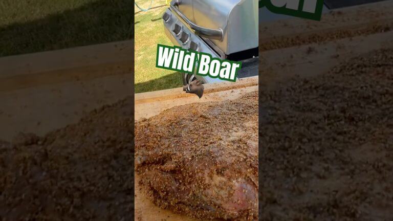 Wild Boar is TASTY! 🐗 #wildboar #tasty #cooking #shorts