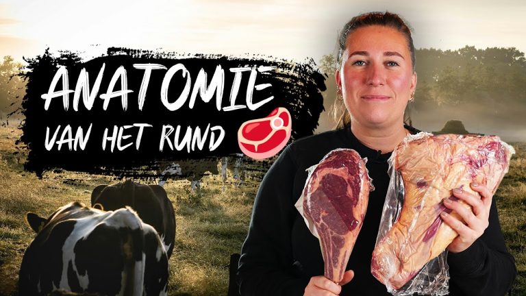 BBQ Basics: De Anatomie van het Rund 🐄🥩