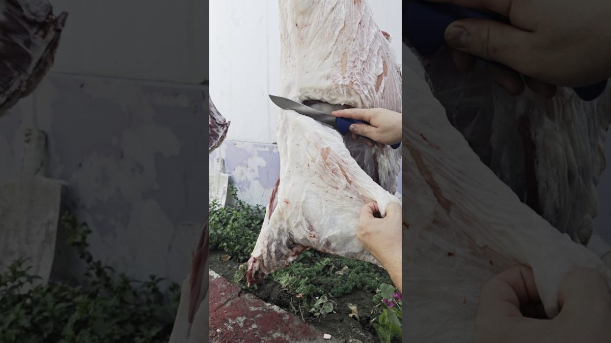 Satisfying Meat Cutting ✨ | Perfect Knife Skills #bbq #shorts