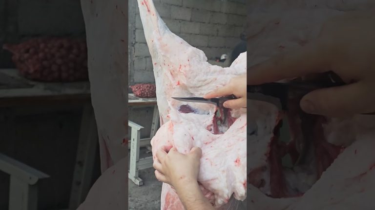 Satisfying Meat Cutting ✨ | Perfect Knife Skills #bbq #shorts #bbqmeat #bbqfoodbeefusa