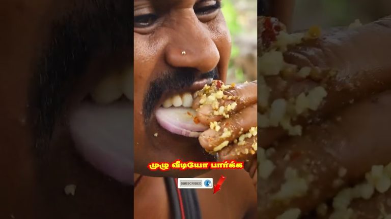 சேத்து மான் கறி வறுவல் | Tasty Pork Gravy (பன்றிக்கறி வறுவல்) | Karikanji Cooking Channel