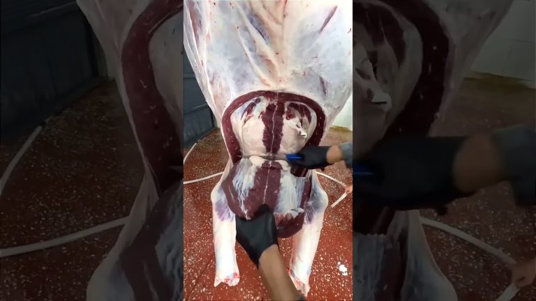 Satisfying Meat Cutting ✨ | Perfect Knife Skills #bbq #shorts #bbqmeat #bbqfoodbeefusa