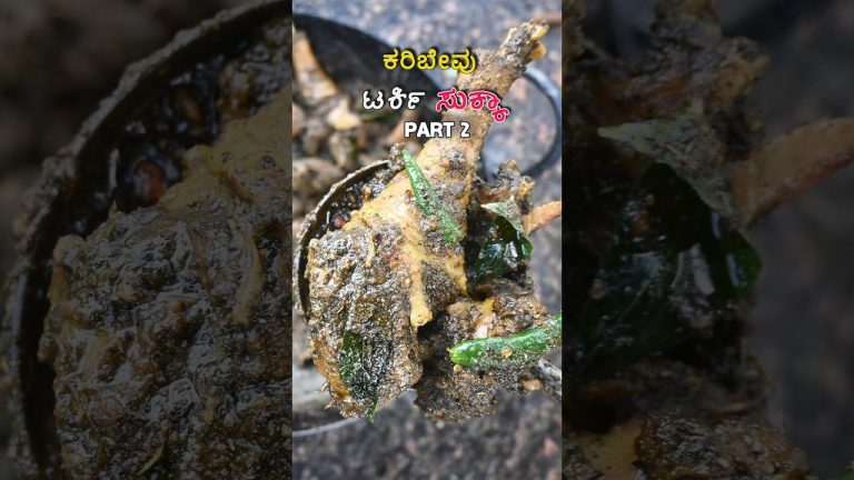 ಕರಿಬೇವು ಟರ್ಕಿ ಸುಕ್ಕಾ 🦃🍗🤤 | Curry Leaves Tarkey Sukka Recipe 🦃🍗🤤 Part 2 #shortsfeed