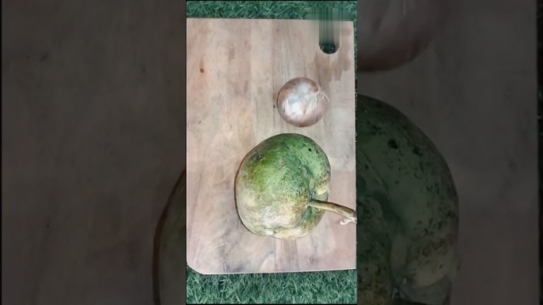 সরষে চালতার টক মিষ্টি/ chalta recipe 🥰#shots #lovely #sweet #chalta.