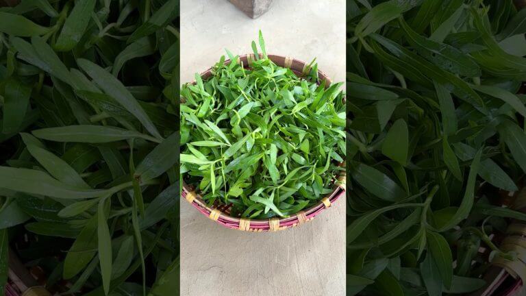 Simple Shak Bhaja | Bengali Lunch Greens Fry 🍃#shorts #cooking #recipe