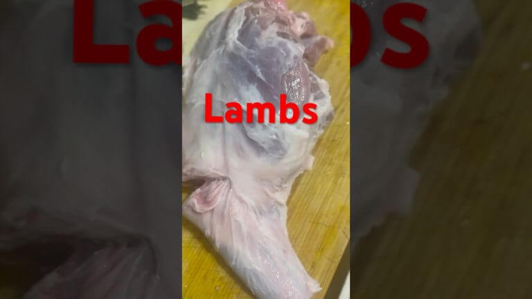 Lamb recipe#short#foryou#youtubeshorts #recipe