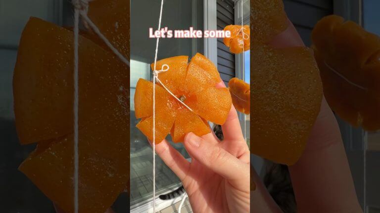 Traditional Chinese Orange Cakes 🍊