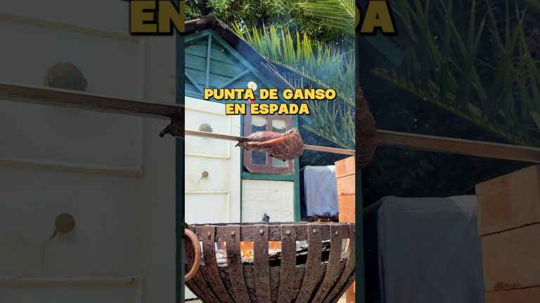 Punta de Ganso en Espada | PARRILLEROS