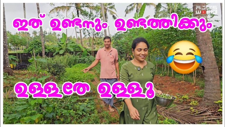 ബാക്കി ആർക്ക് കൊടുക്കാൻ 😂/Kerala traditional life/thair sadham recipe