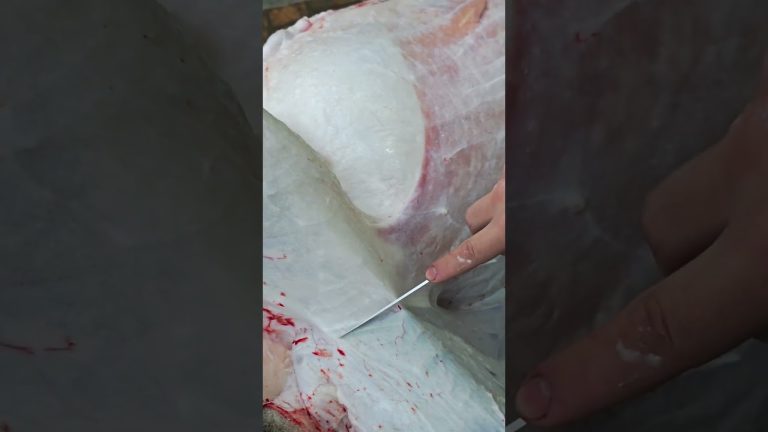 Satisfying Meat Cutting ✨ | Perfect Knife Skills #bbq #shorts  #bbqfoodbeefusa