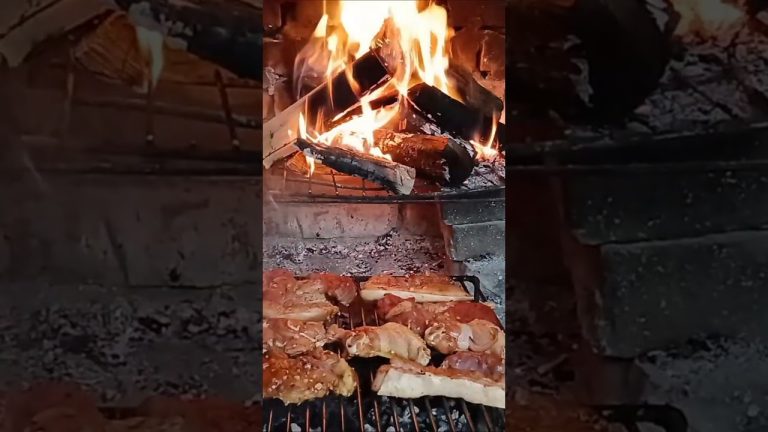 Barbecue Pork And Chicken Cuts Short #cooking #bbq #meat