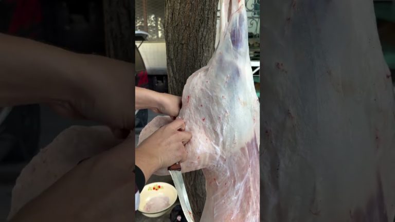 Satisfying Meat Cutting ✨ | Perfect Knife Skills #bbq #shorts #bbqmeat #bbq #bbqfoodbeefusa