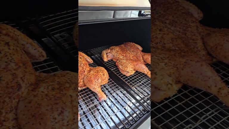 300°F in Alaska cold? The ZGrills 700D4E shows up.  #pelletgrill #bbq #smokegrill  #grilltime