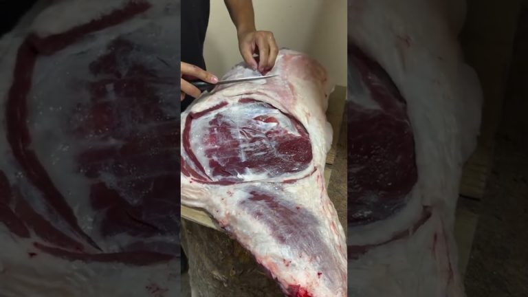 Satisfying Meat Cutting ✨ | Perfect Knife Skills #bbq #shorts #bbq #meat #bbqfoodbeefusa