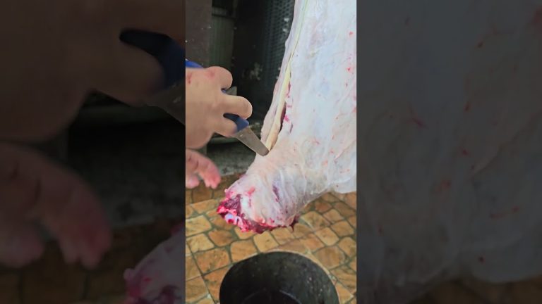 Satisfying Meat Cutting | Perfect KnifeSkills #bbq #shorts #meat #bbqmeat #bbqfoodbeefusa