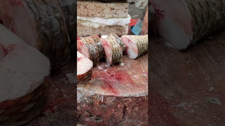 Amazing Big Life Rohu Fish In ghazipur Fish Market Delhi #shortvideo #Govind Puri #rrrm