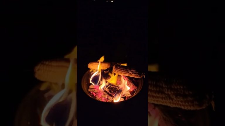 Camping Spot Dubai | Al Qudra ⛺️#shorts #trendingshorts  #lovelake #dubai#weekendvibes #dubaimallu