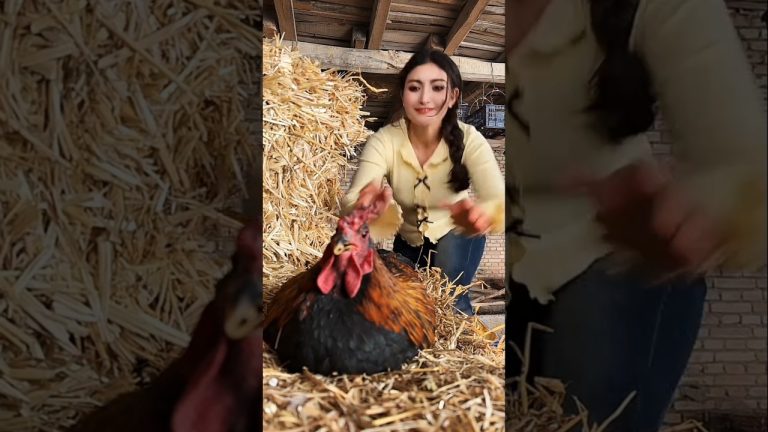 Desi Chicken Recipe 😋 Village Style Cooking #shorts