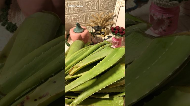 Aloe Vera ke laddoo 😱|#shorts #youtubeshorts #food #recipe #cooking