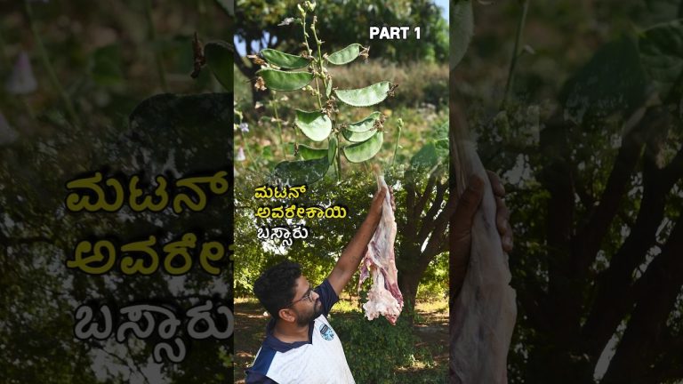 ಮಟನ್‌ ಅವರೇಕಾಯಿ ಬಸ್ಸಾರು 🫛🐐🤤 | Avarekalu Mutton Curry🫛🐐🤤 | Part 1 #shortsfeed