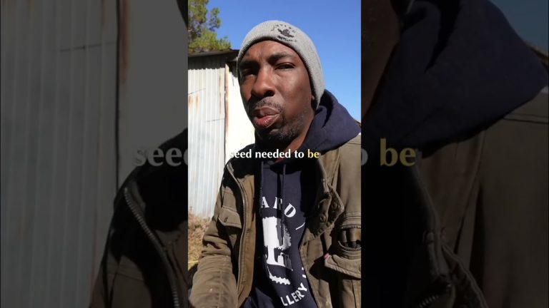 Best BBQ Cooks Were Also Bootleggers #shorts