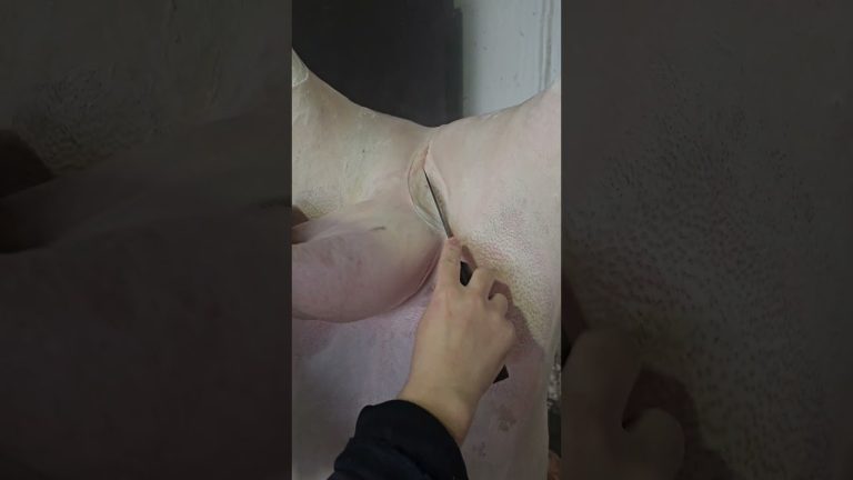 Satisfying Meat Cutting ✨ | Perfect Knife Skills #bbq #shorts #bbqmeat #bbqfoodbeefusa