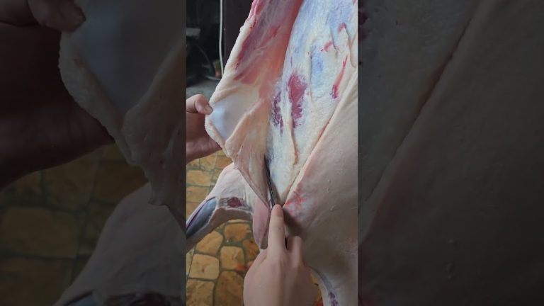 Satisfying Meat Cutting ✨ | Perfect Knife Skills #bbq #shorts #bbqmeat #bbqfoodbeefusa