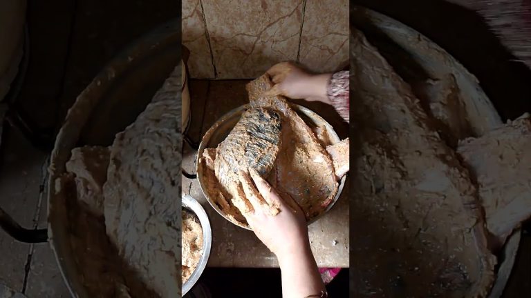 BBQ Night With Family By Hamania Sehr #minivlog #fishroast #cooking