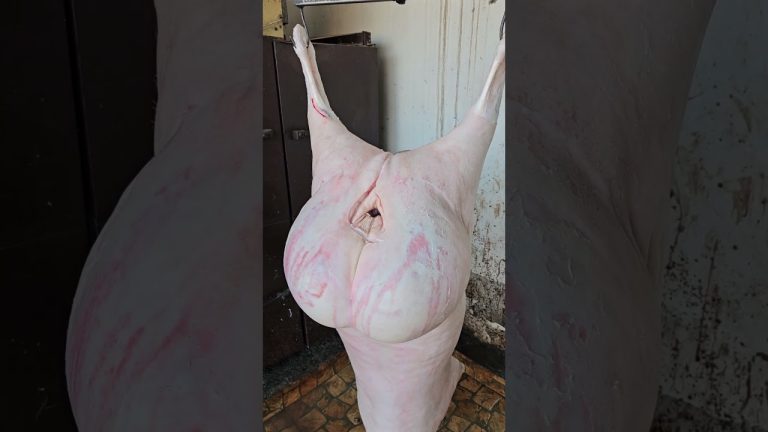 Satisfying Meat Cutting ✨ | Perfect Knife Skills #bbq #shorts #bbqmeat #bbqfoodbeefusa