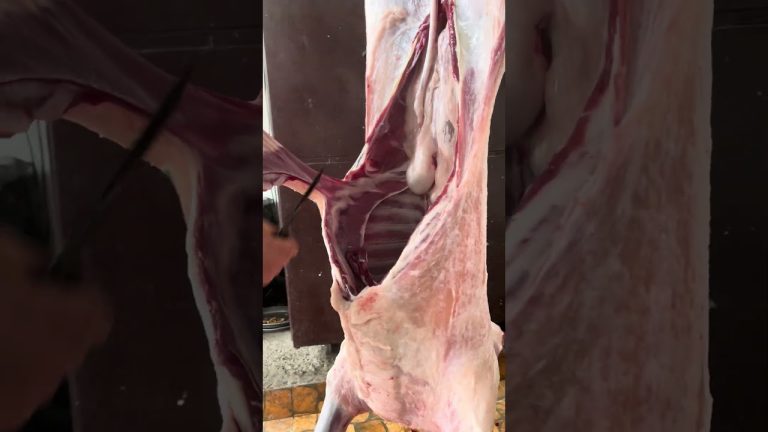 Meat cutting 🥩 #bbq #meat #bbqmeat #chefknife #bbqfoodbeefusa