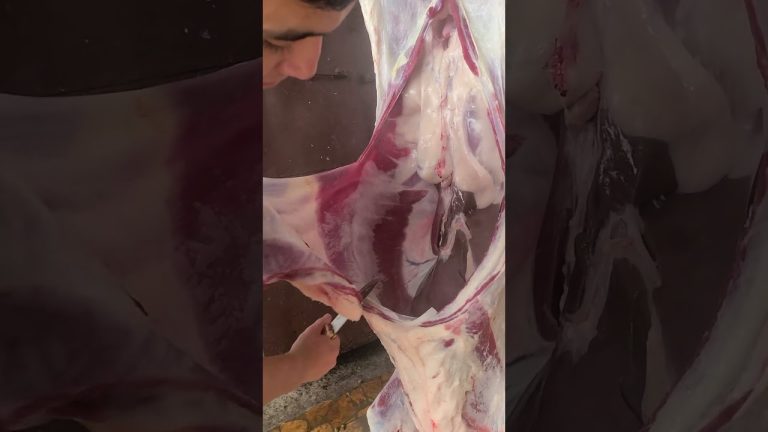 Satisfying Meat Cutting ✨ | Perfect Knife Skills #bbq #shorts #bbqmeat #bbqfoodbeefusa